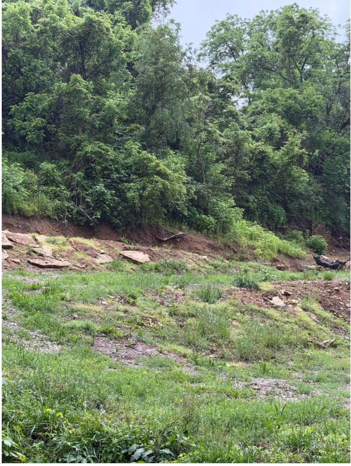265 Town Branch Road, Mount Vernon KY